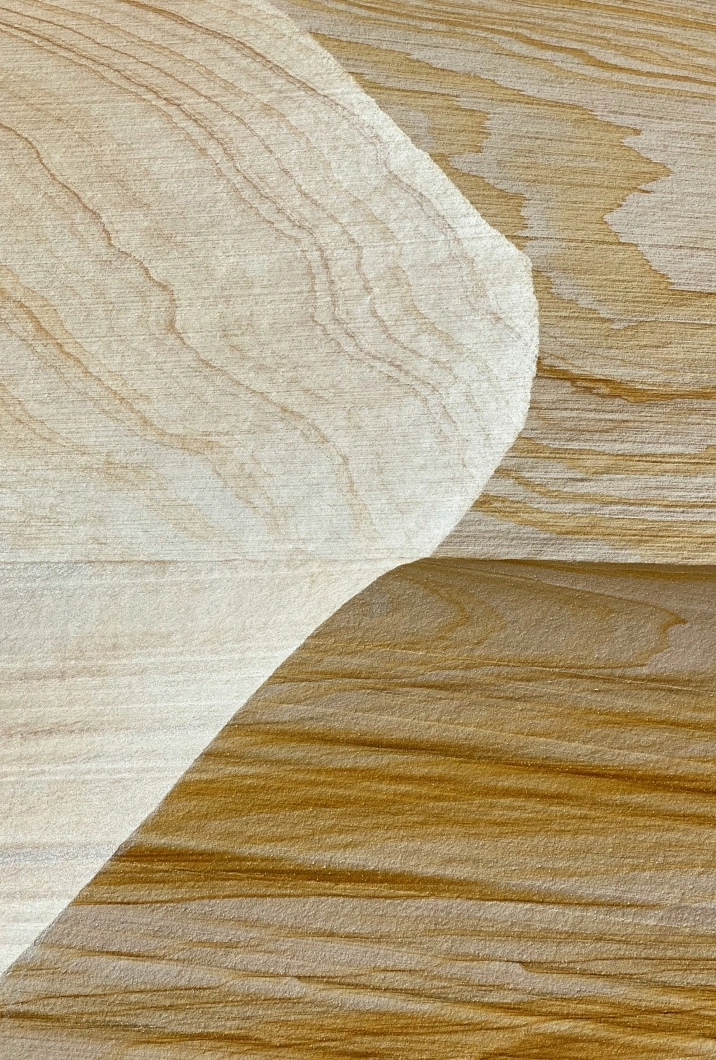 Holzprobe Accoya